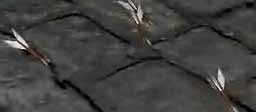 Flying Arrows Flying Arrows
