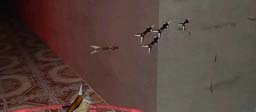 Arrow Collisions Arrow Collisions