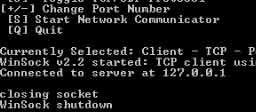 TCP Client TCP Client